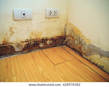 
Rainwater penetrates through the cracks of the wall, destroyed floor. Water leak and damaged the wall and laminate floor which is near the plug and the telephone outlet. Stok fotoğraf © 