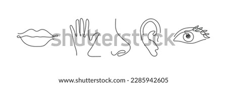 Five human senses one line drawing set. Touch, smell, taste, look, hear icon. 5 five types symbols. Vector illustration