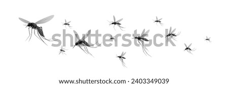 swarms of flying mosquitoes illustration