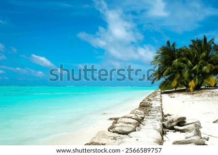 Similar – Image, Stock Photo deserted sandy beach with surveillance tower