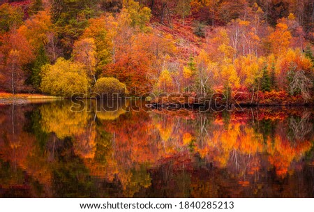 Similar – Image, Stock Photo Autumn at the lake leaves