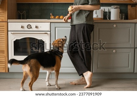 Similar – Image, Stock Photo Crop woman with dog resting at home