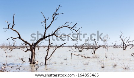 The Menindee Lakes is a chain of shallow ephemeral freshwater lakes connected to the Darling River .. The lakes lie in the far west region of New South Wales, Australia, near the town of Menindee.