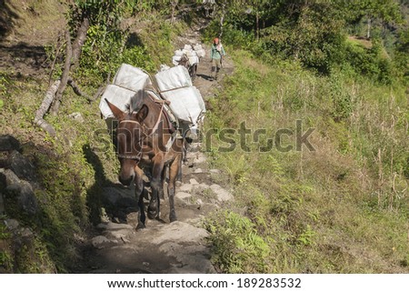 in the mountains of transport is mainly on the backs of pack animals