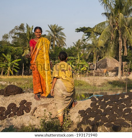 CALCUTTA, NEPAL - CIRCA OCTOBER 2013: in India very often for fuel used sun-dried cow dung circa October 2013 in Calcutta.