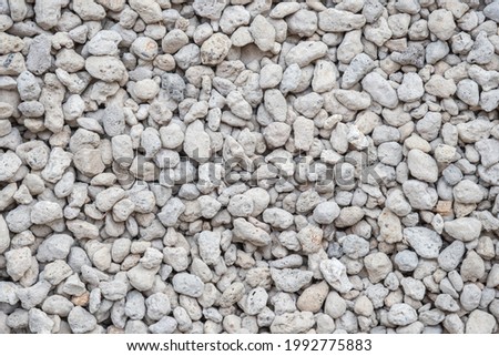Close up of Pumice Stone, Potting Cactus and Succulent Material. Stock fotó © 