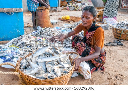 PAMBAN,INDIA - JANUARY 30,2013 - Woman Working with Fish