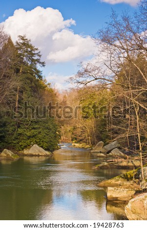 A stream meanders by rocks and trees in the woods, conveying a feeling of serenity and peace.