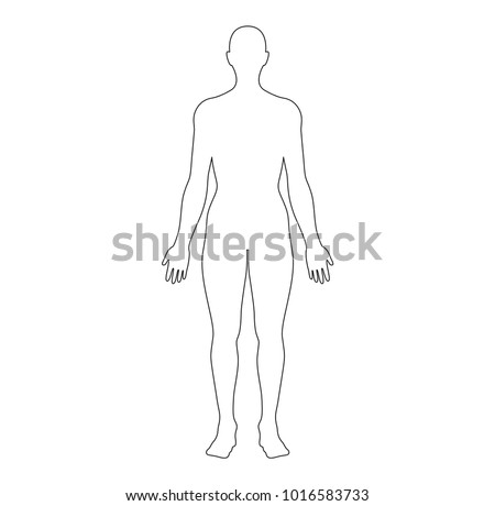 Anatomical Position Anterior View Female Body Outline Vector Illustration