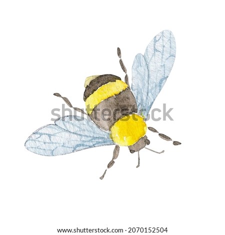 Watercolor botanical little bee. Hand drawn isolated on white. For birthday, wedding card, invitation, greeting, mother day, children's posters, postcards, kids cards