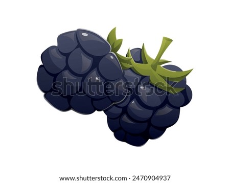 Black ripe blackberries. Vector isolated cartoon illustration.