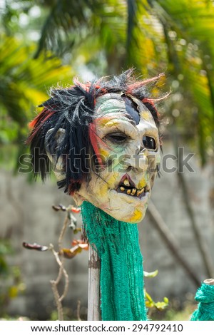 vintage zombie or ghost head on the log, scarry head under the sun light