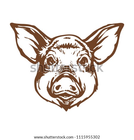 Pig head line art ink sketch stock vector illustration design for logo, tattoo and coloring book