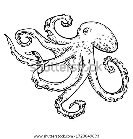 Octopus Outline | Free download on ClipArtMag