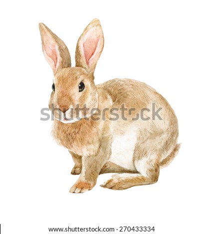 brown rabbit watercolor illustration