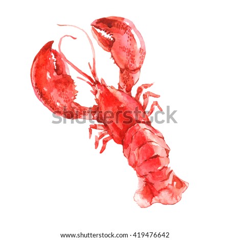 red lobster watercolor illustration