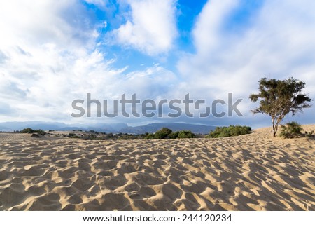 Blue sky and sand dunes with footprints. Canary islands, Maspalomas. The mountains in the background.