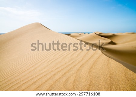 Blue sky and sand dunes. Canary islands, Maspalomas.  The sea on the horizon.