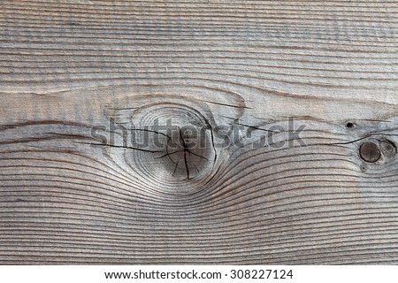 Wood texture. Vintage wooden floor. gray wood background with knots. shabby. macro view.