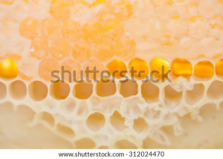 Honeycomb macro view. Unfinished golden honey combs. textured. opened an closed cells. photography. Soft focus.