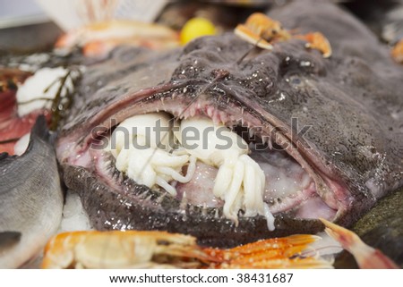 Ugly fish with calamari in its mouth on market display