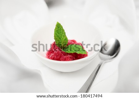 Pomegranate sorbet in a gravy boat, selective focus