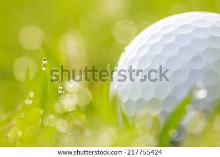 Close up Golf ball on grass with water drops