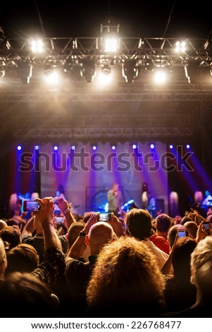 Rock Concert audience