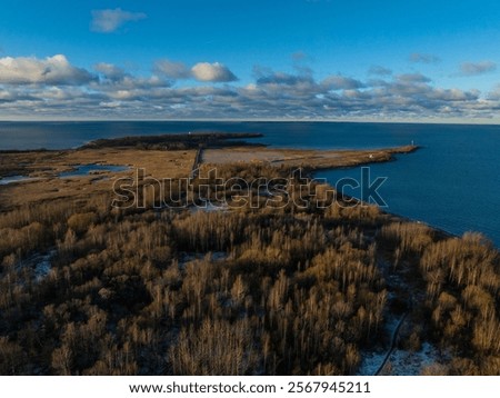 Similar – Image, Stock Photo autumn meeting Plant Sky