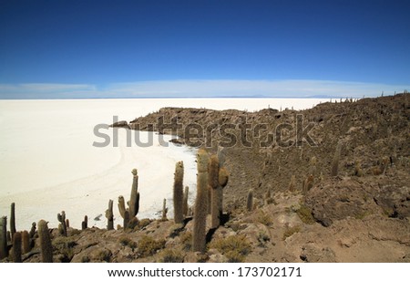 Fish island in Uyuni Salt Flats, Bolivia. Isla del Pescado, Isla de los Pescadores, Fish Island or Cujiri is a hilly and rocky outcrop of land in the middle of Salar de Uyuni, Bolivia, South America