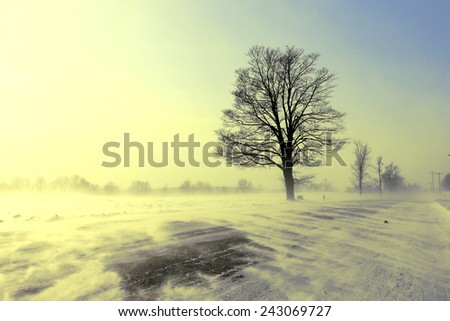 Winter landscape with a dreamy vintage look. Road with drifting snow.