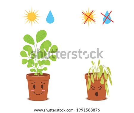 Cute potted plants characters with watering and sunlight symbols. Happy blossom vs sad wilted flowers isolated on white background. Vector cartoon illustration in childish style.