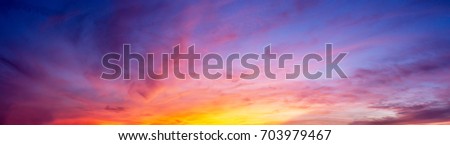 Similar – Image, Stock Photo evening sun Evening sun
