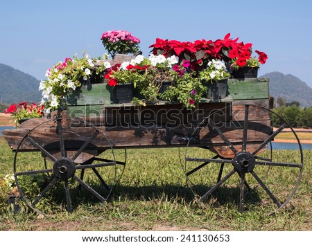 wooden cart full of colorful flowers