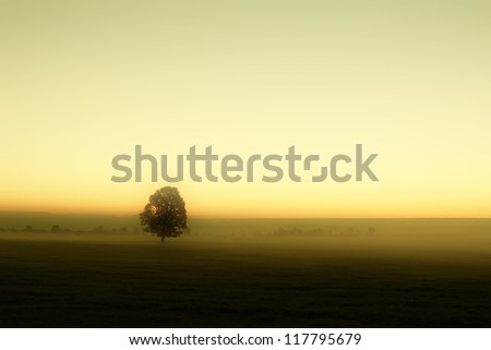 Morning landscape at sunrise and a lone tree on the horizon