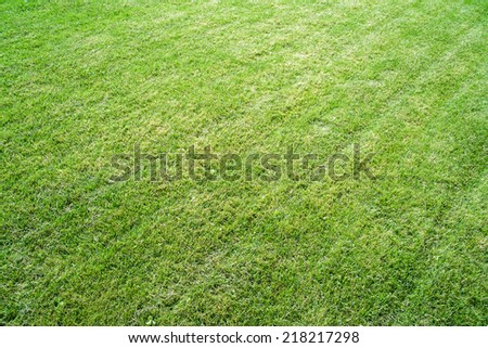 Green field preparing for sporting events
