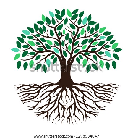 Family Tree With Roots Clipart | Free download on ClipArtMag