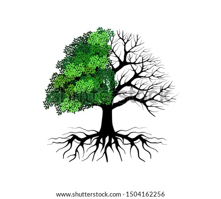 half dead and wither tree and vector illustration, molt tree, drought tree vector