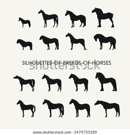vector silhouettes of 16 different breeds of horses