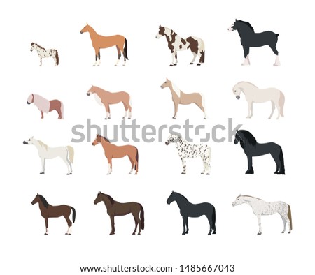 16 different horse breeds flat icon 