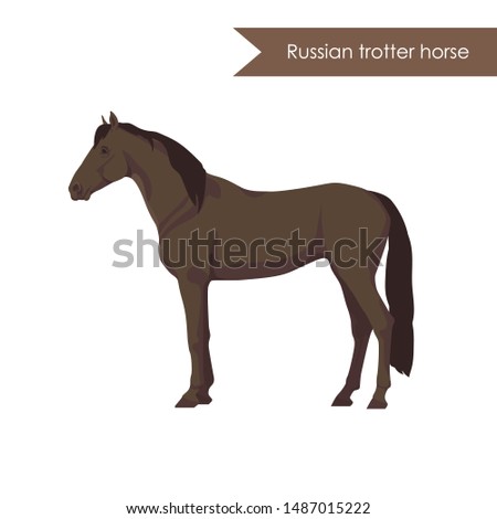 vector cartoon flat illustration of breed of horse russion trotter horse