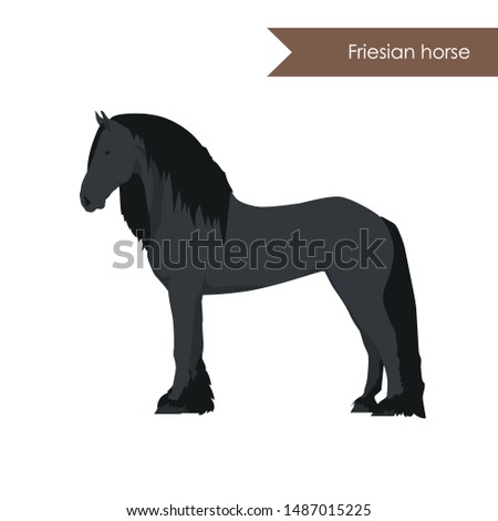 vector cartoon flat illustration of breed of friesian horse