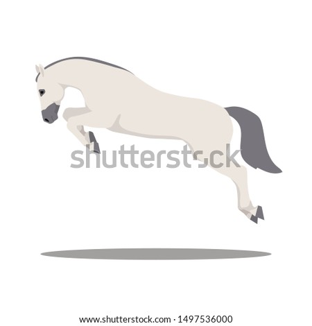 vector flat horse  in motion: jump