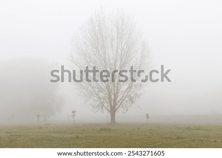 Similar – Foto Bild nebeliger Novembermorgen am Wandrand mit Sonnenstrahlen