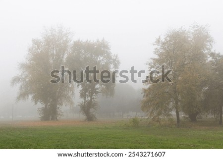 Similar – Foto Bild nebeliger Novembermorgen am Wandrand mit Sonnenstrahlen