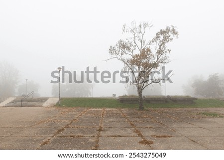 Similar – Foto Bild nebeliger Novembermorgen am Wandrand mit Sonnenstrahlen