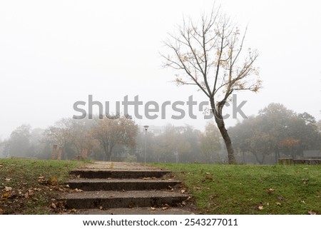 Similar – Foto Bild nebeliger Novembermorgen am Wandrand mit Sonnenstrahlen