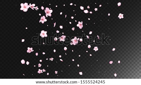 Nice Sakura Blossom Isolated Vector. Pastel Flying 3d Petals Wedding Pattern. Japanese Bokeh Flowers Illustration. Valentine, Mother's Day Magic Nice Sakura Blossom Isolated on Black