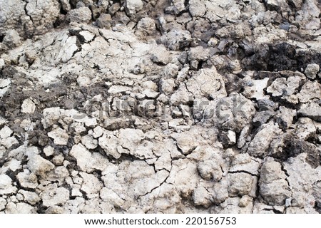 clay dirt texture