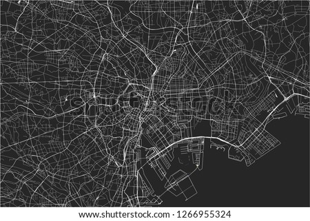 vector map of the city of Tokyo, Kanto, Island Honshu, Japan